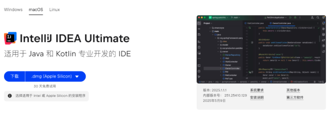 2025年最新Idea激活码分享：永久激活成功Idea2020.2.1至2099年（附详细图文教程）