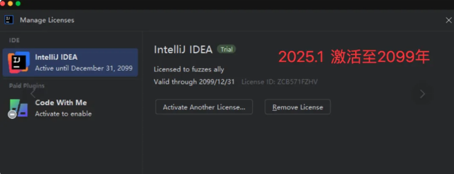 2025年最新Idea激活码分享：永久激活成功Idea2020.2.1至2099年（附详细图文教程）